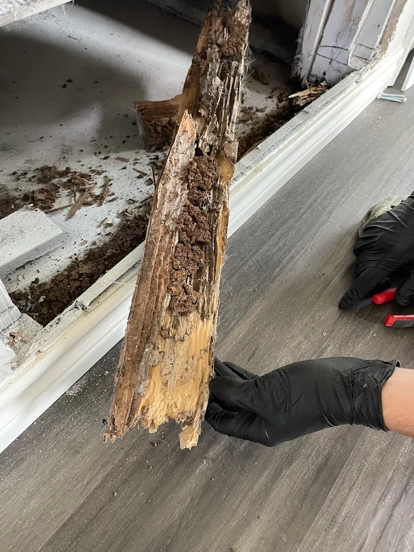 The Home Inspectors in Dallas, TX — business photo 6