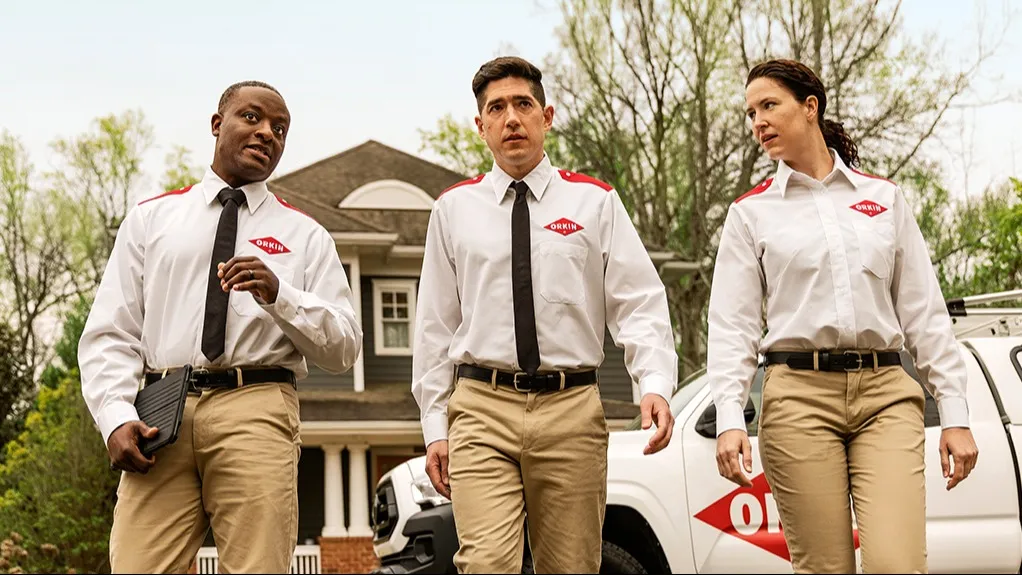 Orkin — pest control in Lubbock, LUBBOCK County, TX