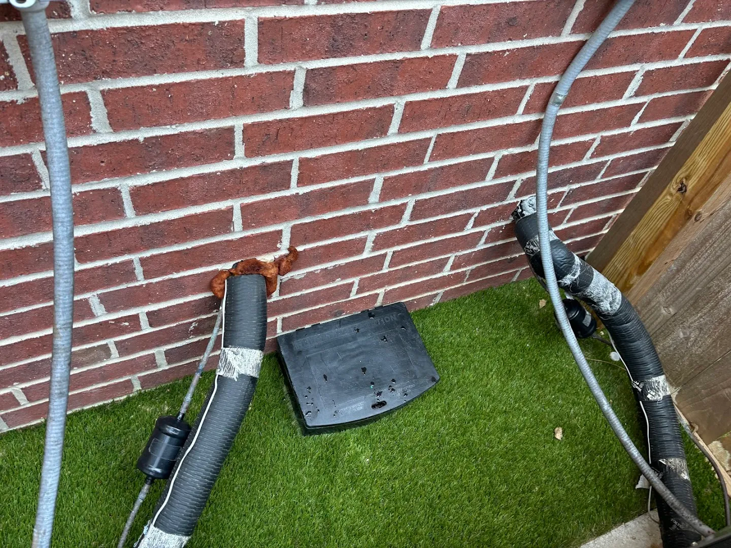 Gold standard pest control LLC in Denton, TX — business photo 3