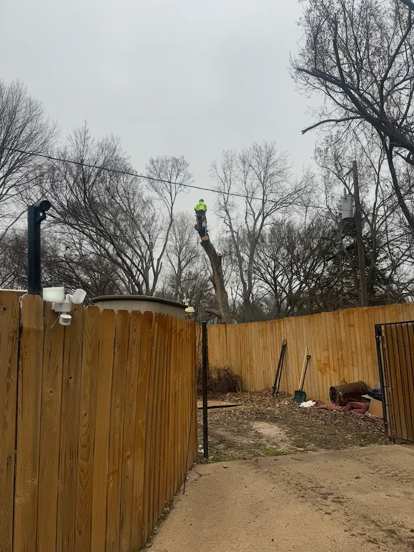 Teague Trees and Landscaping in Lamesa, TX — business photo 5