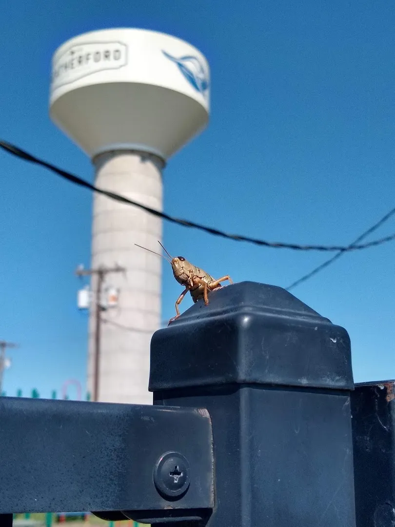 Assist Pest Services — pest control in Weatherford, PARKER County, TX