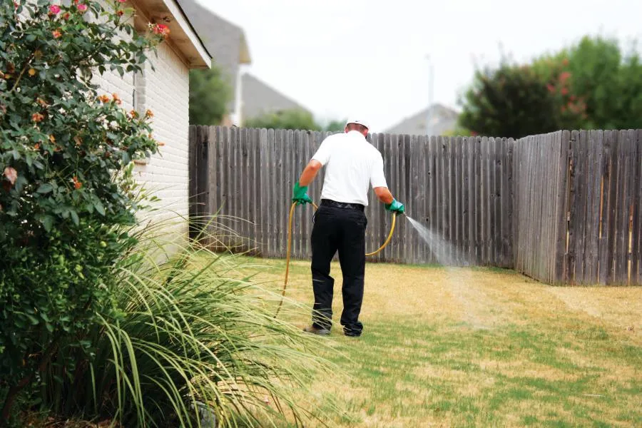 White Knight Pest Control in San Antonio, TX — business photo 4