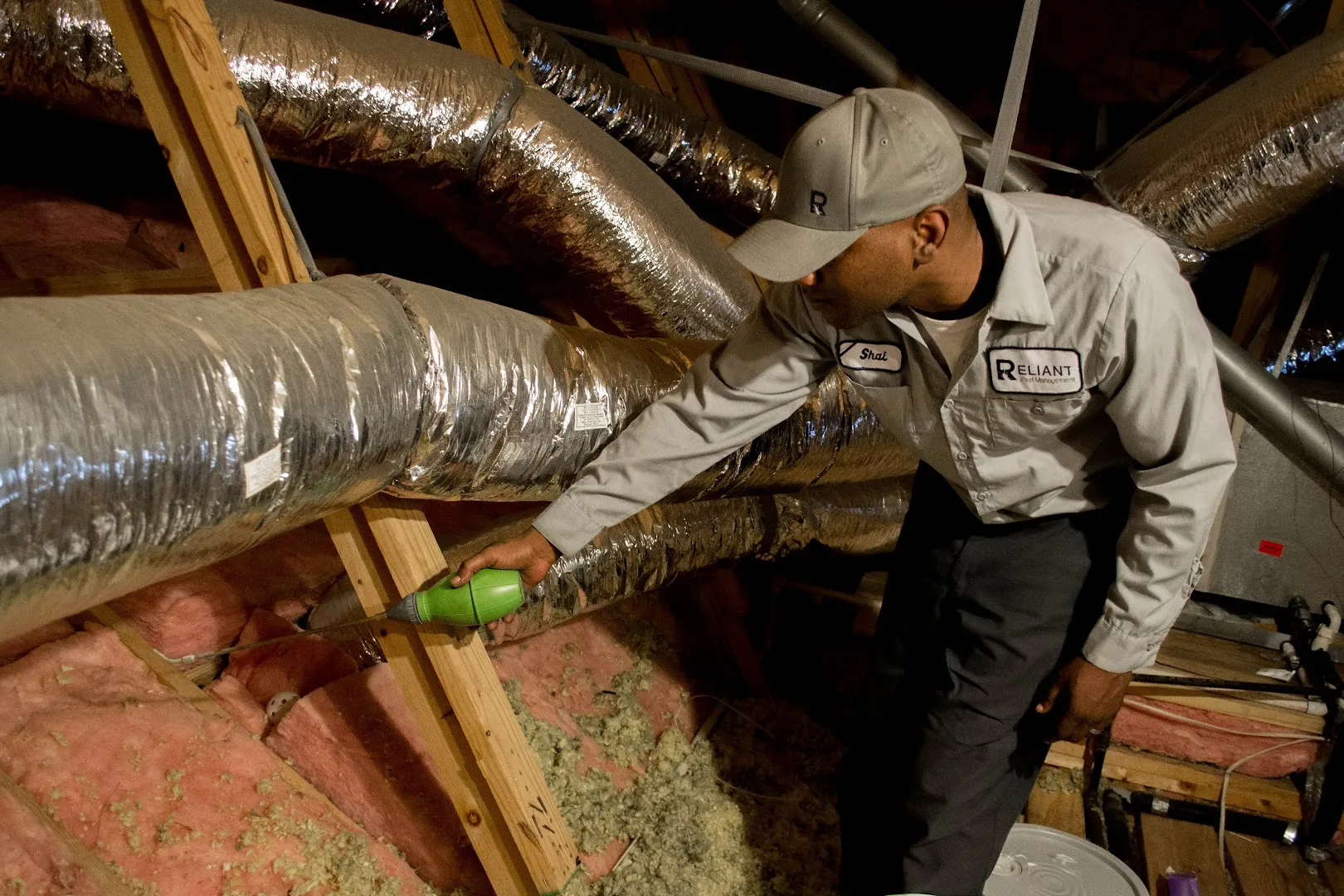 Reliant Pest Management in Austin, TX — business photo 3