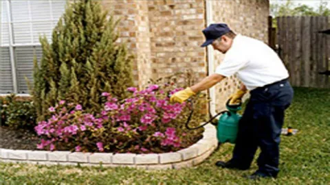 American Eagle Termite & Pest Control in Laredo, TX — business photo 2