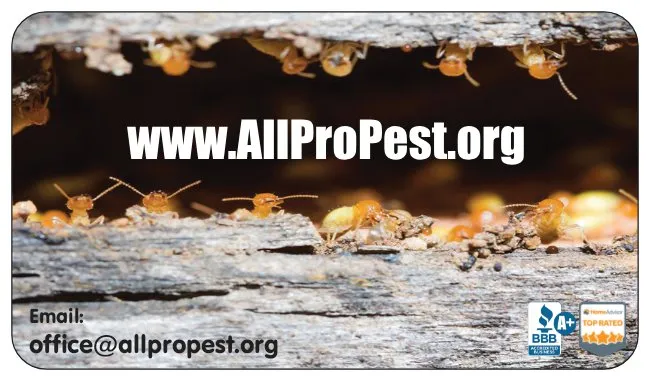 All-Pro Pest Control in Houston, TX — business photo 4
