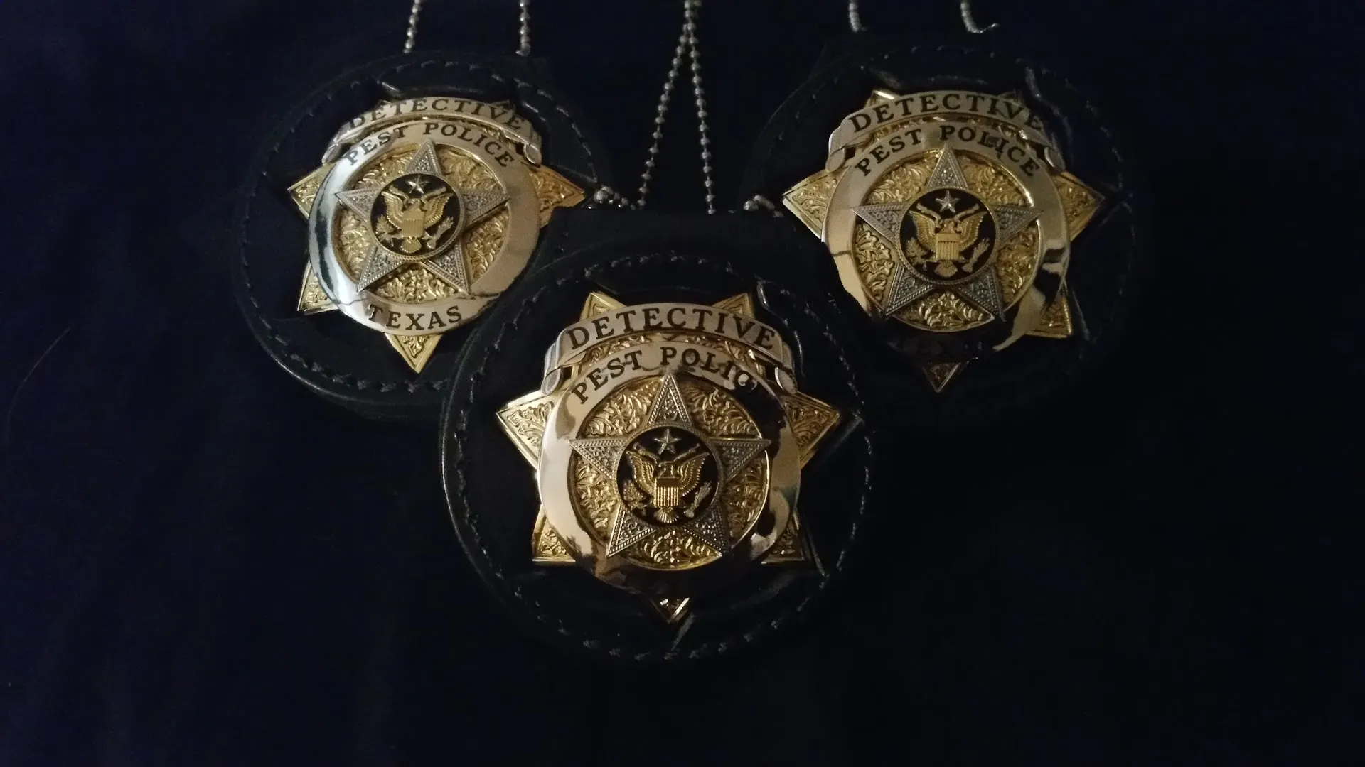 Pest Police in Houston, TX — business photo 5
