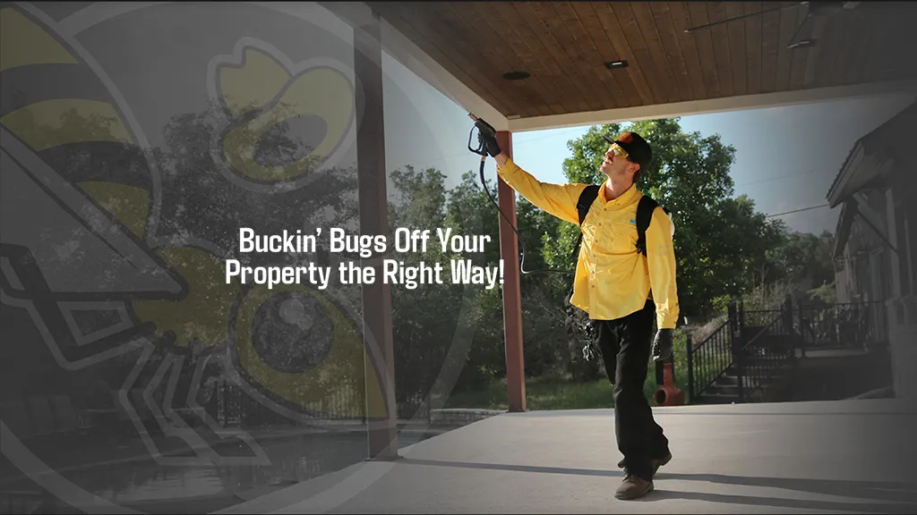 Buckin' Bugs Pest Control in San Antonio, TX — business photo 2