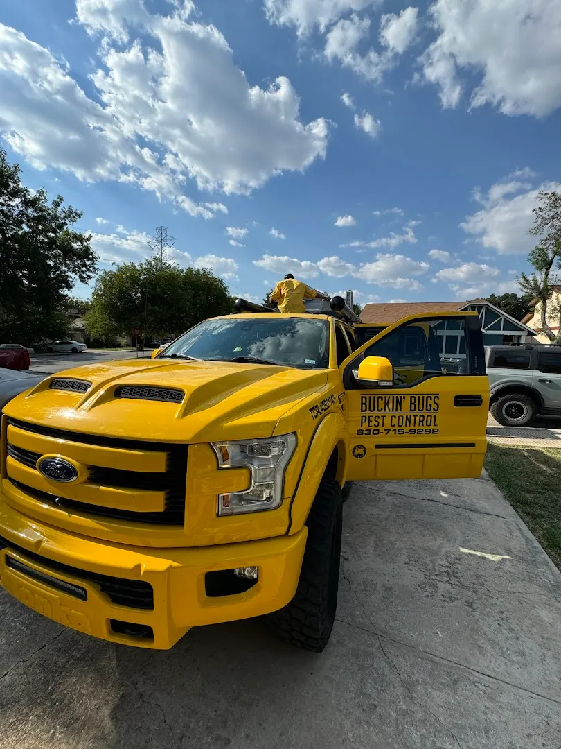 Buckin' Bugs Pest Control in San Antonio, TX — business photo 3