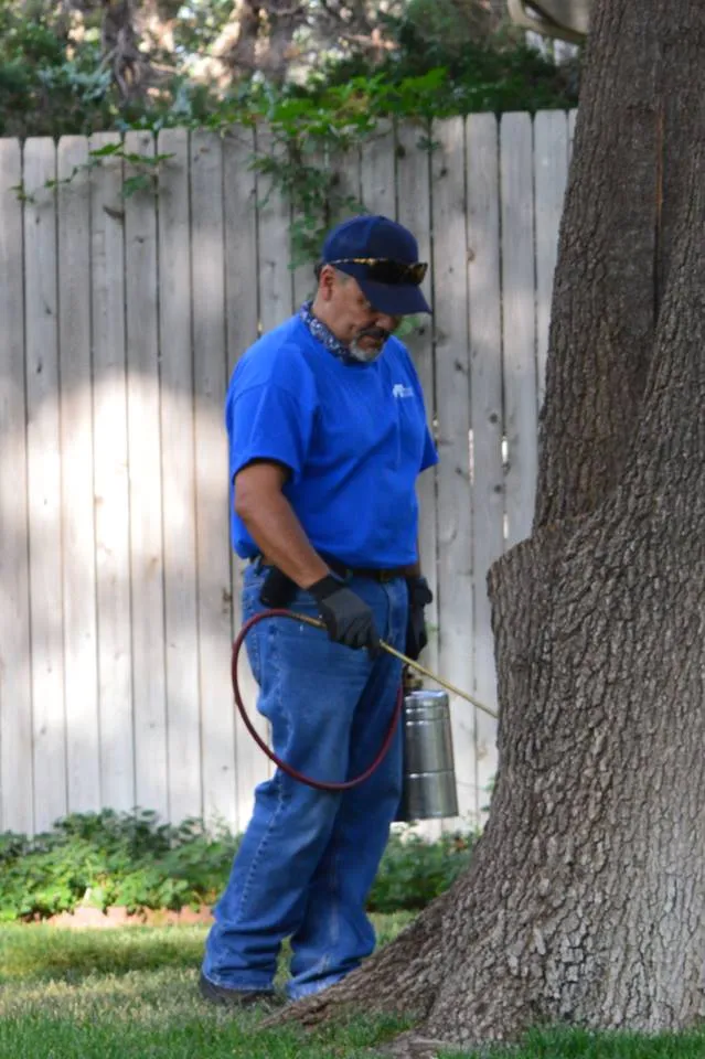 Guard Plus Termite and Pest Control in Amarillo, TX — business photo 3