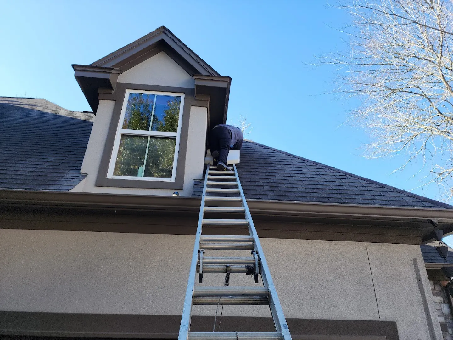 Reed's Pest Control LLC in Conroe, TX — business photo 5