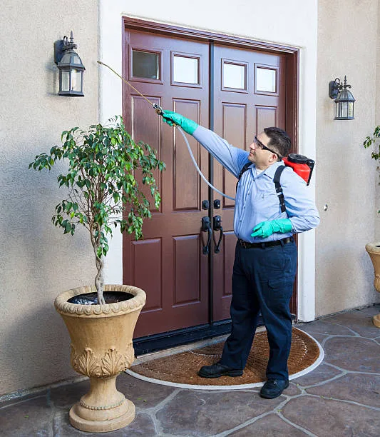 Dixie Isle Pest Control — pest control in Galveston, GALVESTON County, TX