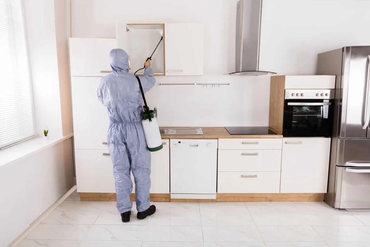 Dixie Isle Pest Control in Galveston, TX — business photo 3