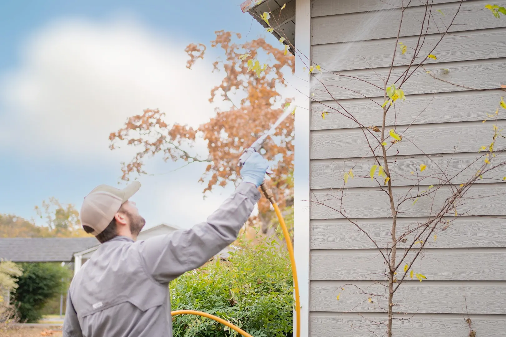 APS Pest and Termite Extermination in Quitman, TX — business photo 5