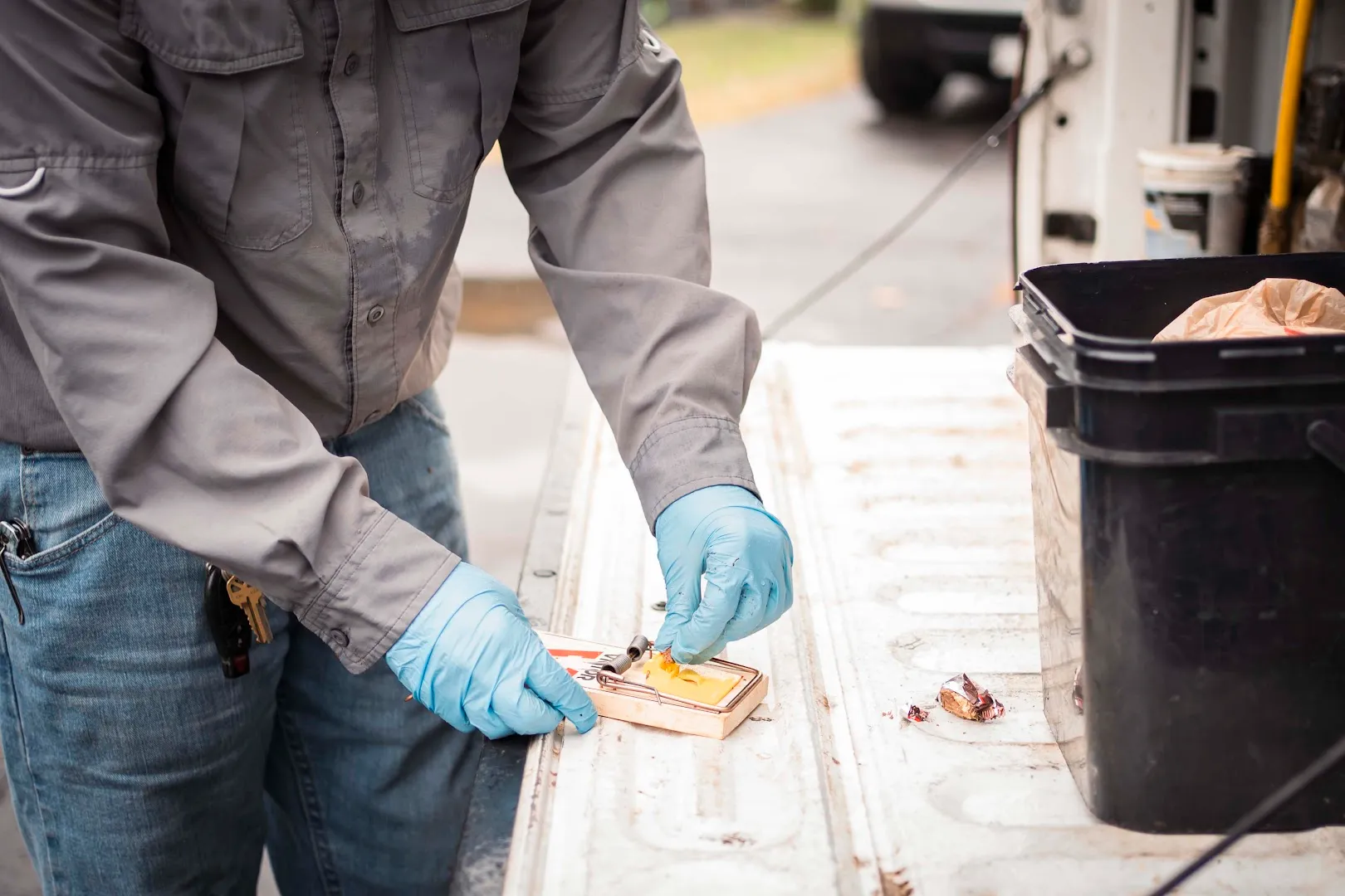APS Pest and Termite Extermination in Quitman, TX — business photo 6