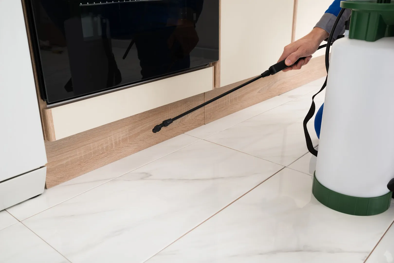 S & S Pest Solutions in Houston, TX — business photo 3