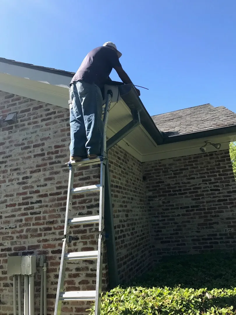 Mosquito Management in Houston, TX — business photo 3