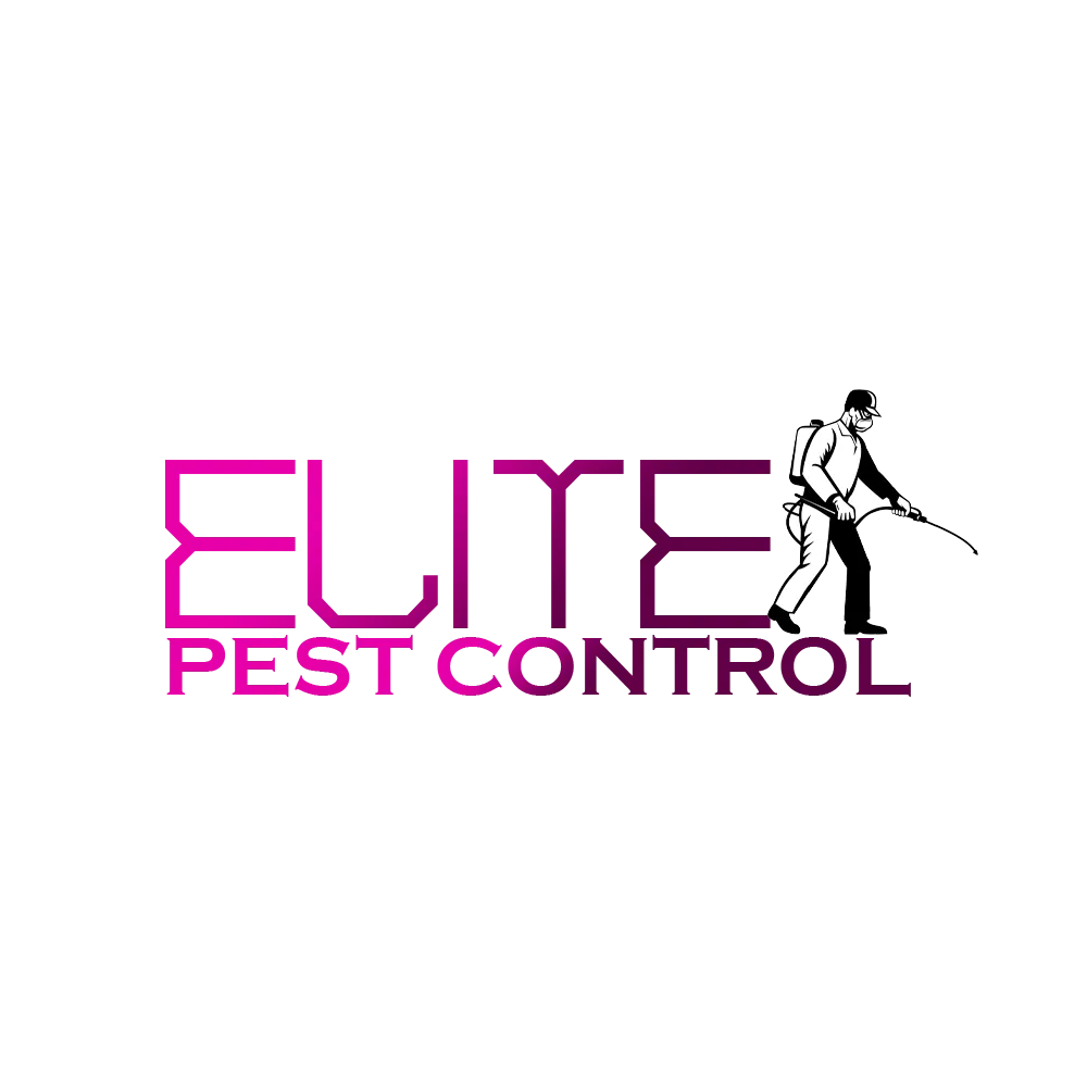 Elite Pest Control Exterminat or — pest control in Belton, BELL County, TX