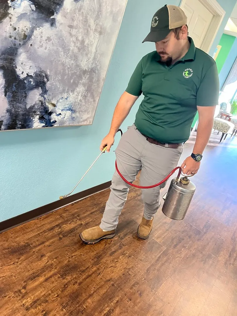 Gecko Pest Control — pest control in Marshall, HARRISON County, TX