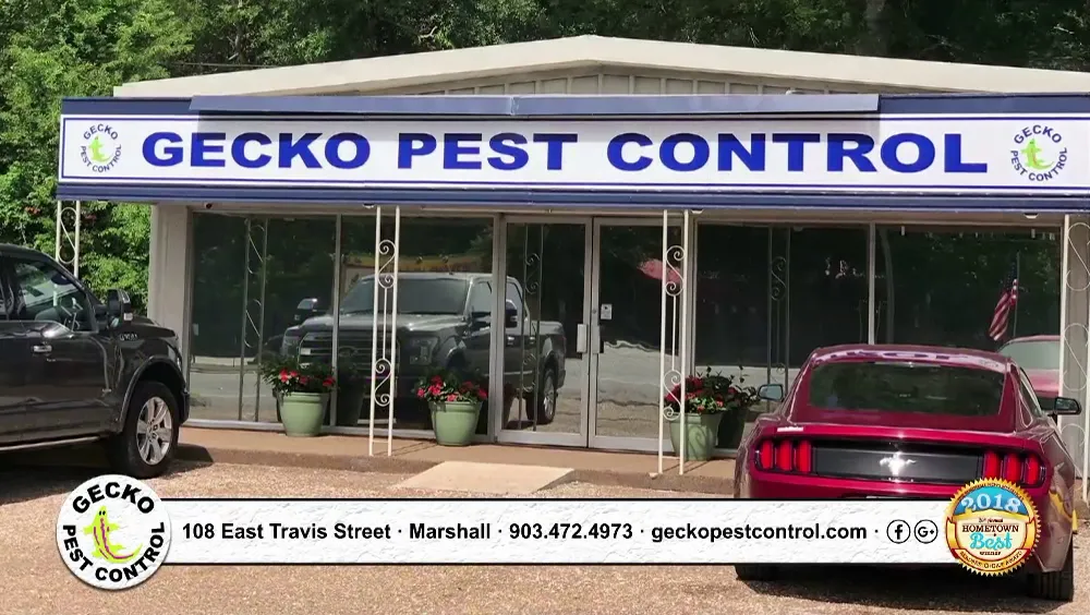 Gecko Pest Control in Marshall, TX — business photo 3
