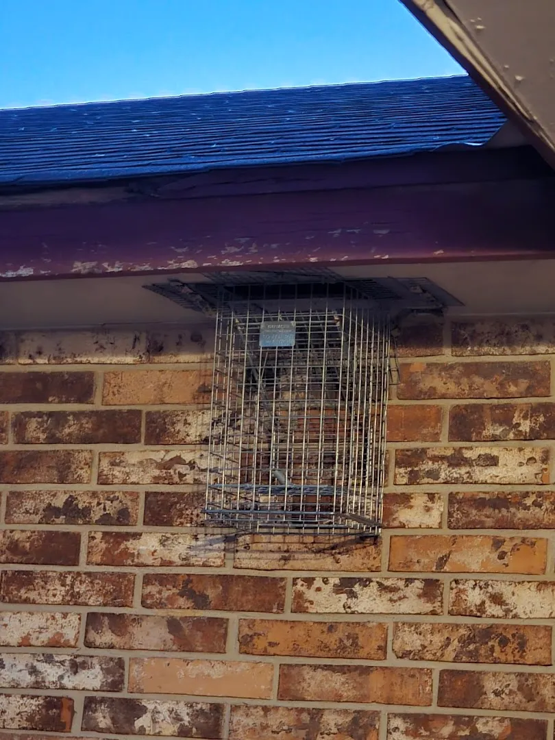 No Escape Pest Control in San Antonio, TX — business photo 5