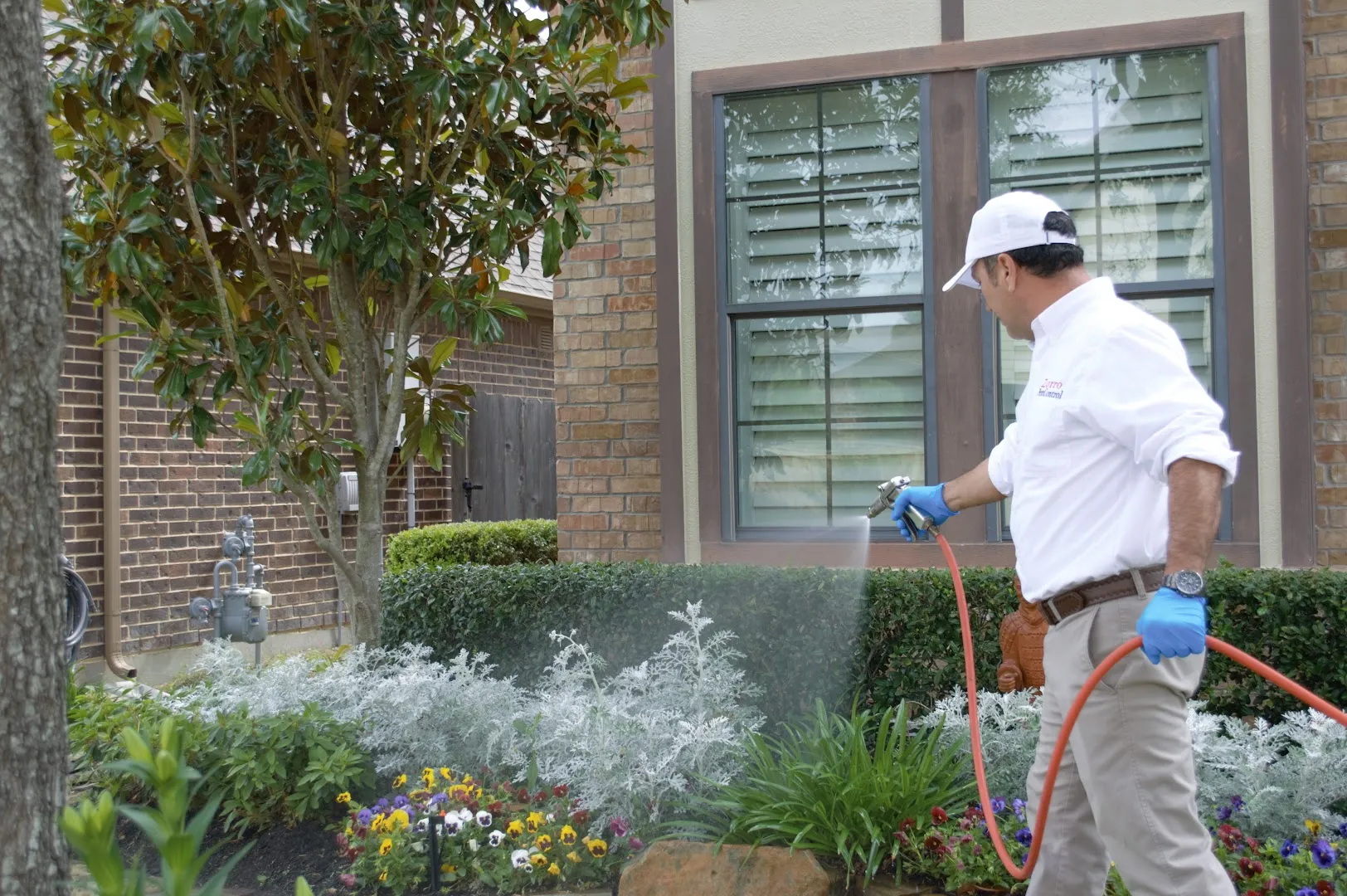 Zorro Pest Control — pest control in Houston, HARRIS County, TX