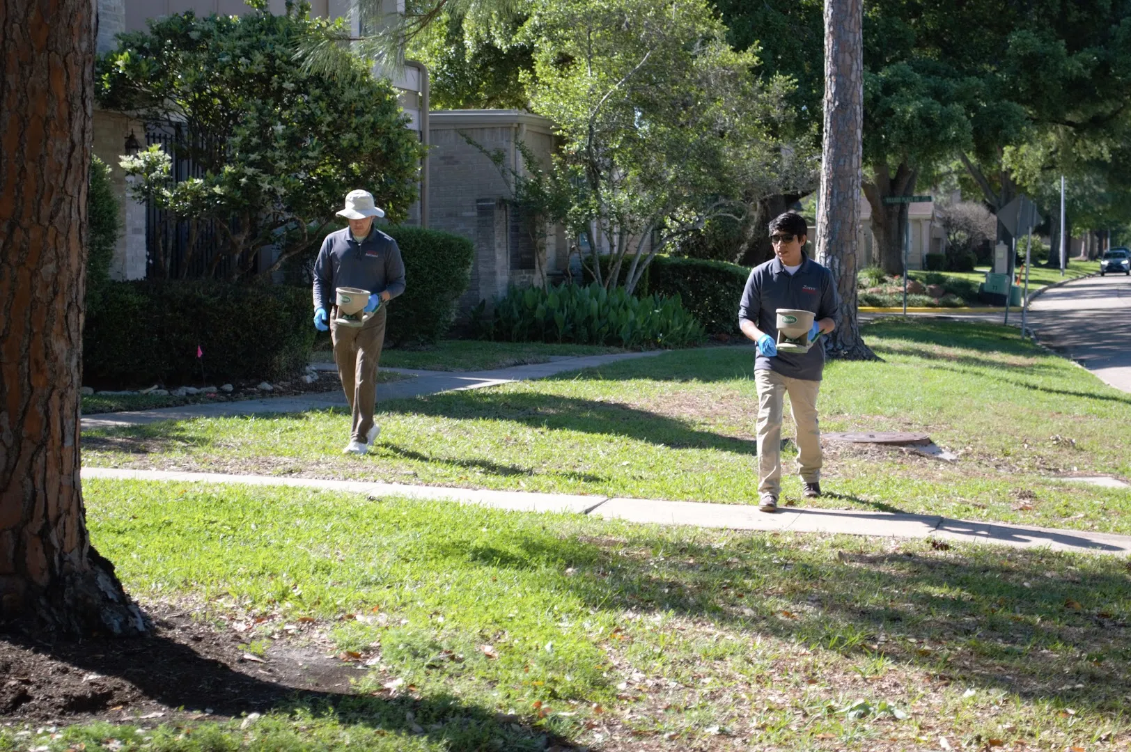 Zorro Pest Control in Houston, TX — business photo 3