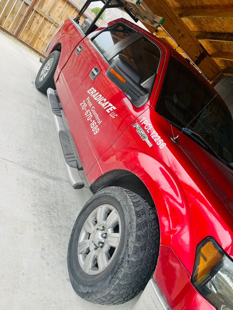 Eradicate Pest Control — pest control in San Antonio, BEXAR County, TX