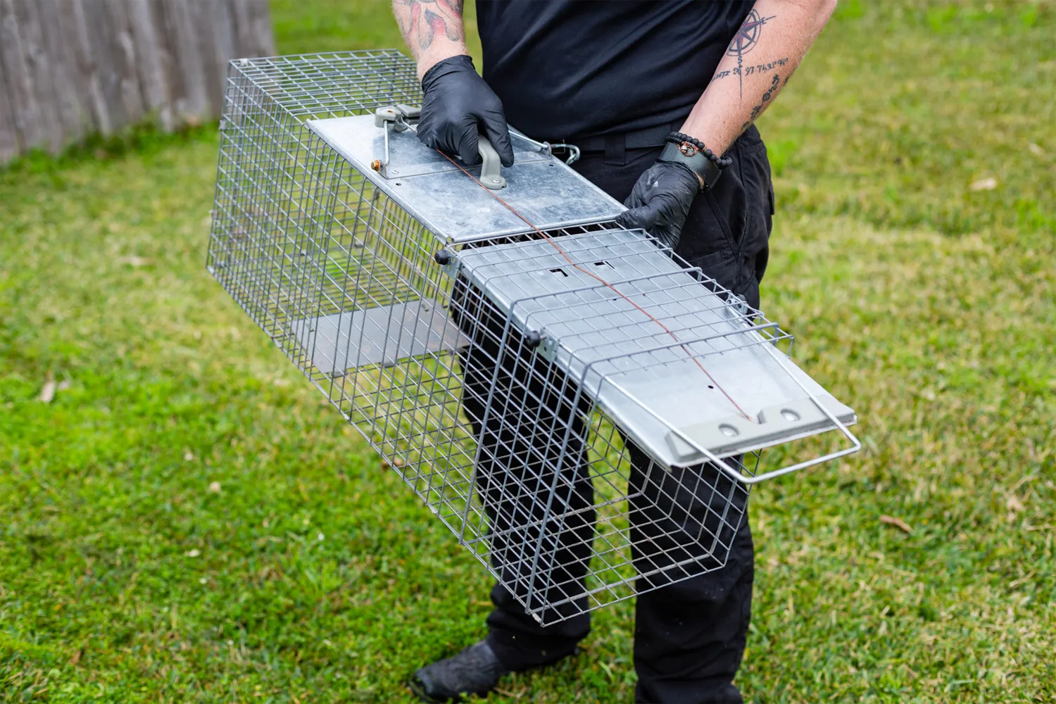 A Killer Instinct Pest Control — pest control in Georgetown, WILLIAMSON County, TX