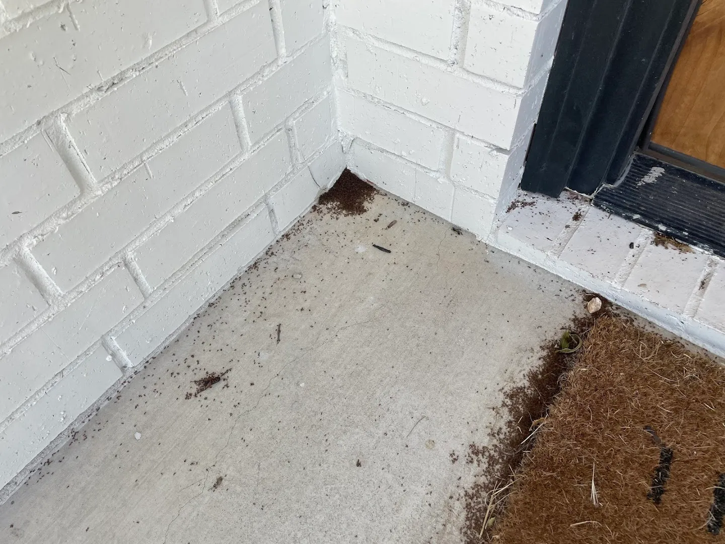 White Knight Pest Control in Belton, TX — business photo 3