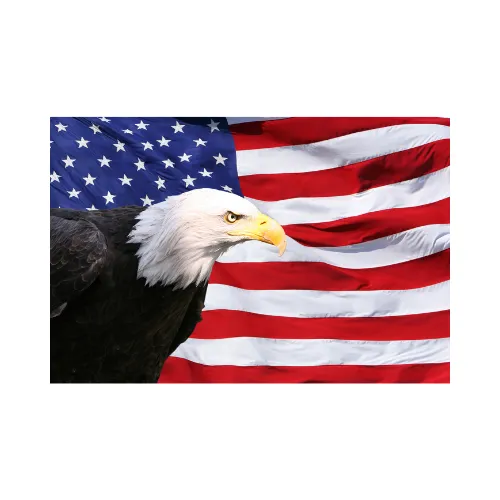 All American Pest Control Services Inc. — pest control in Edinburg, HIDALGO County, TX