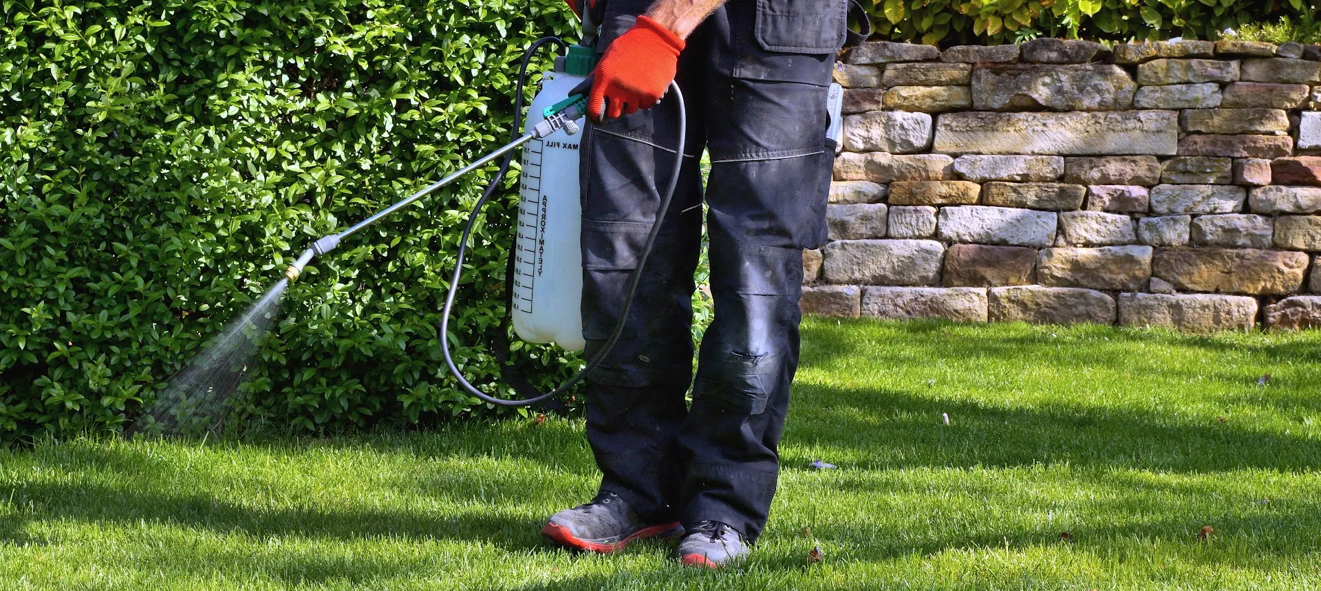 All American Pest Control Services Inc. in Edinburg, TX — business photo 3