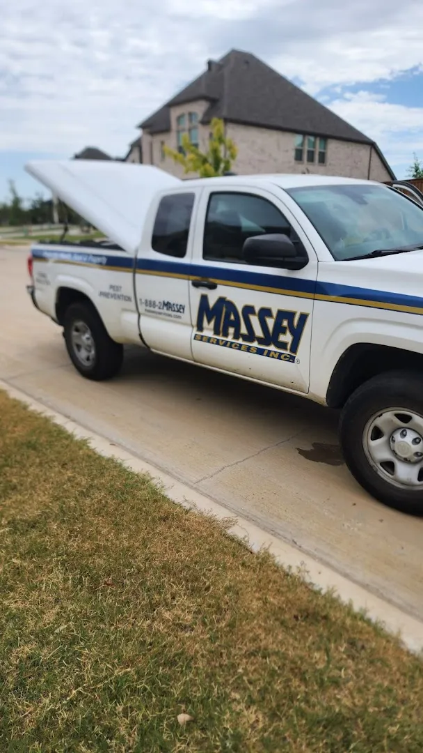 Massey Services Pest Control in Dallas, TX — business photo 3