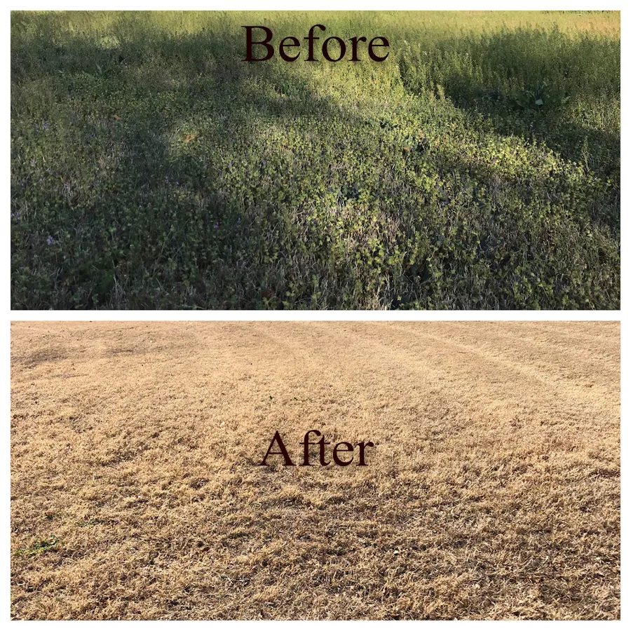 Chem Turf in Abilene, TX — business photo 2
