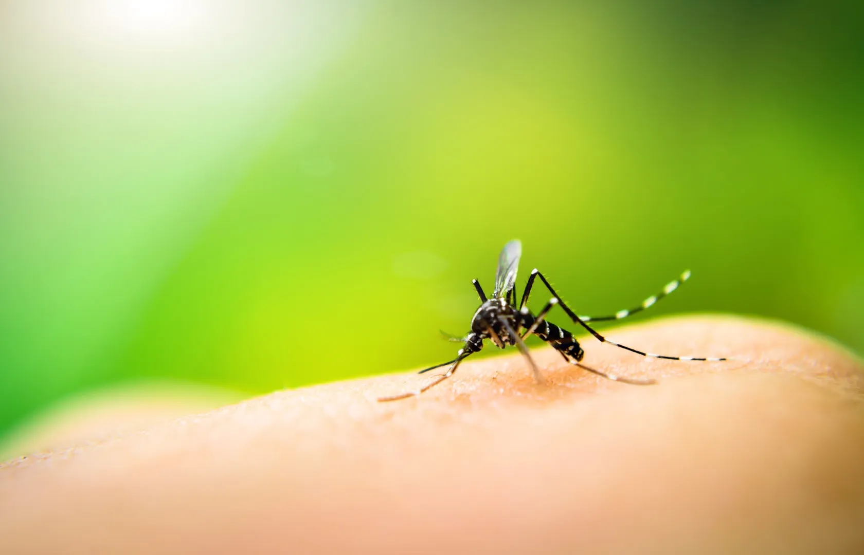 Austin Pest Control in Austin, TX — business photo 5