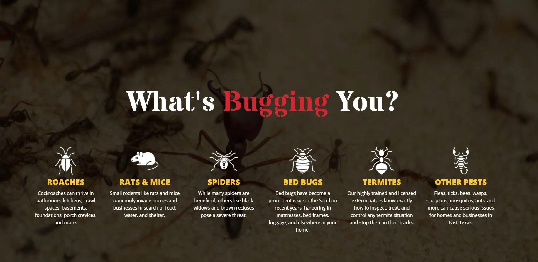 Sure Shot Pest Control — pest control in Paris, LAMAR County, TX