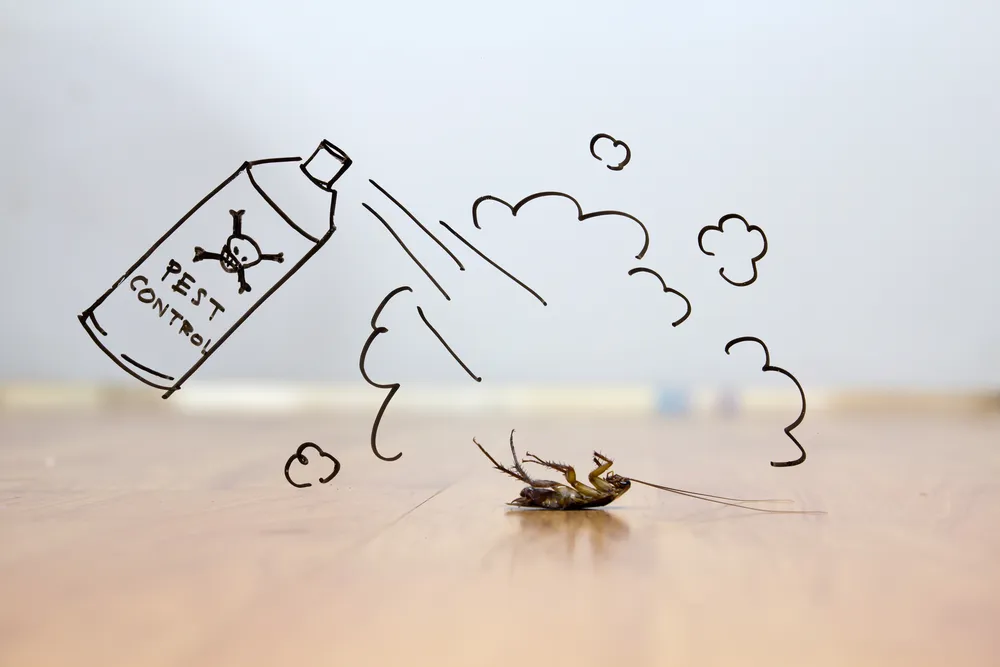 SEW Pest Control in Conroe, TX — business photo 3