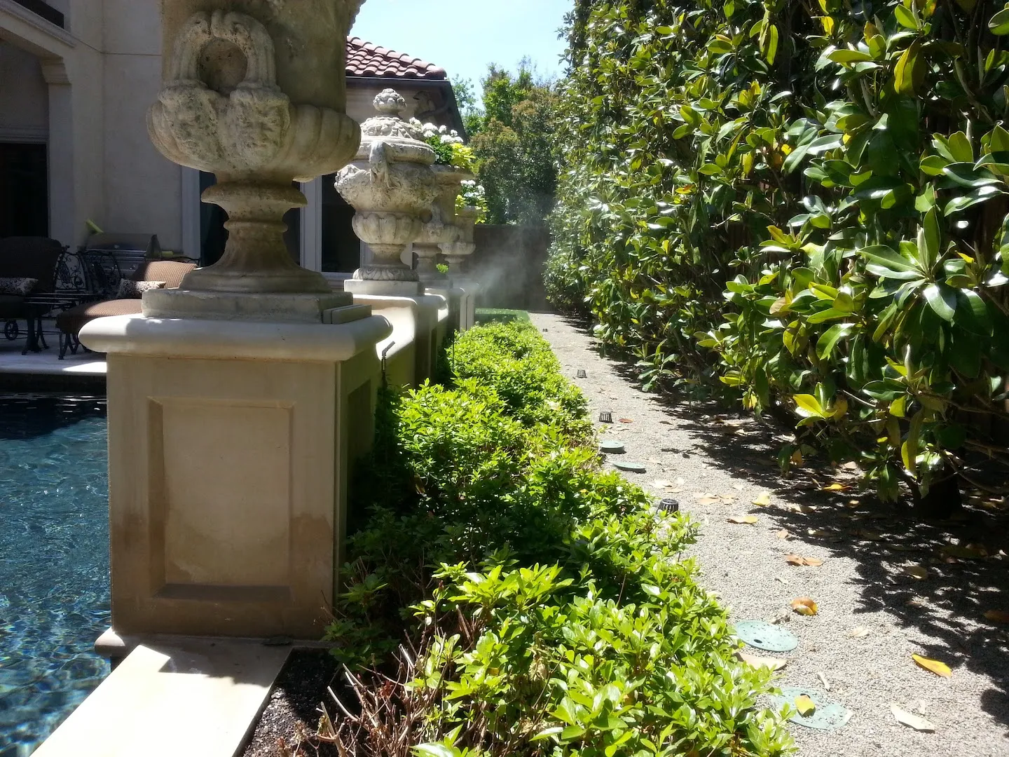 Mosquito Mister Natural — pest control in Dallas, DALLAS County, TX