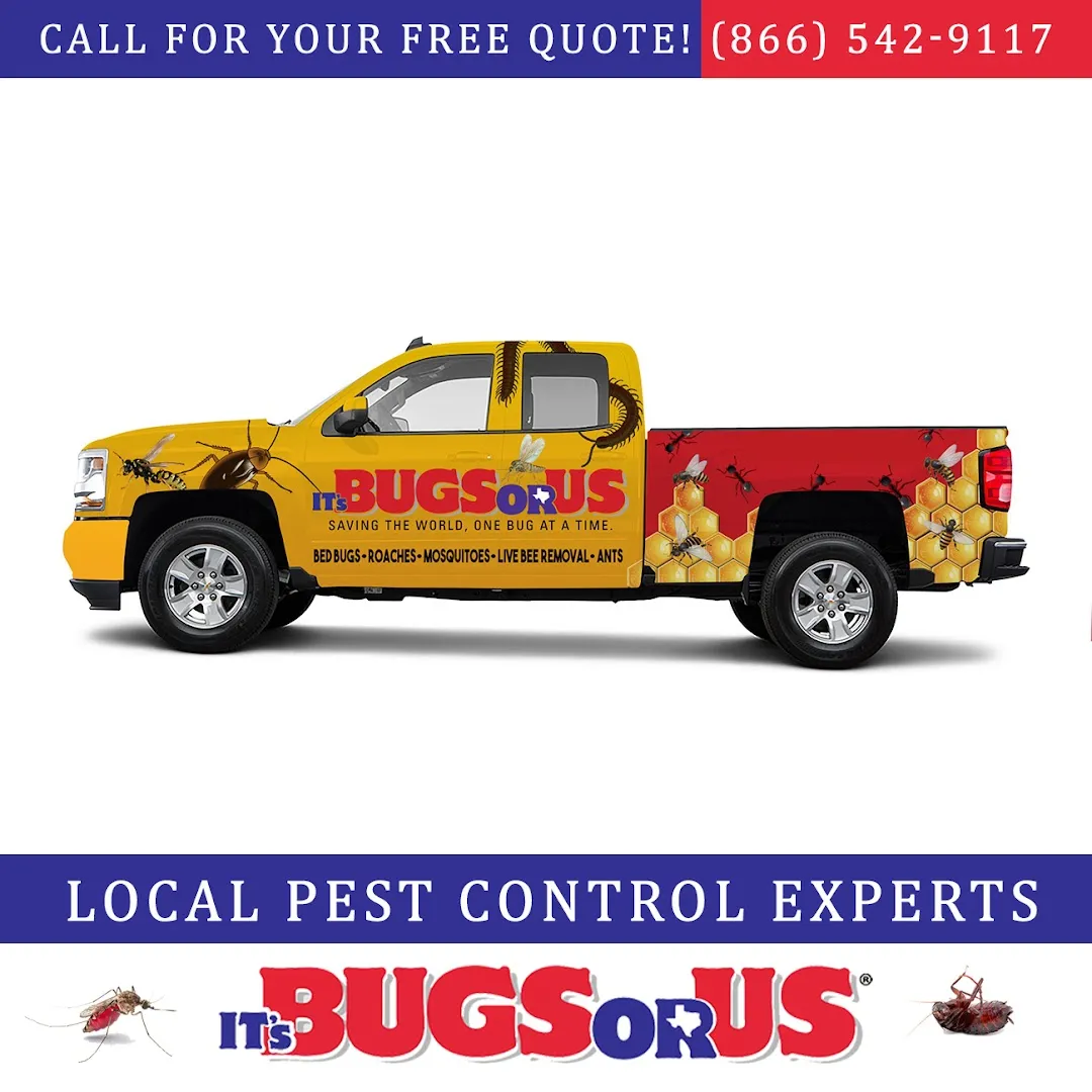 It's Bugs Or Us Pest Control - Houston in Houston, TX — business photo 6