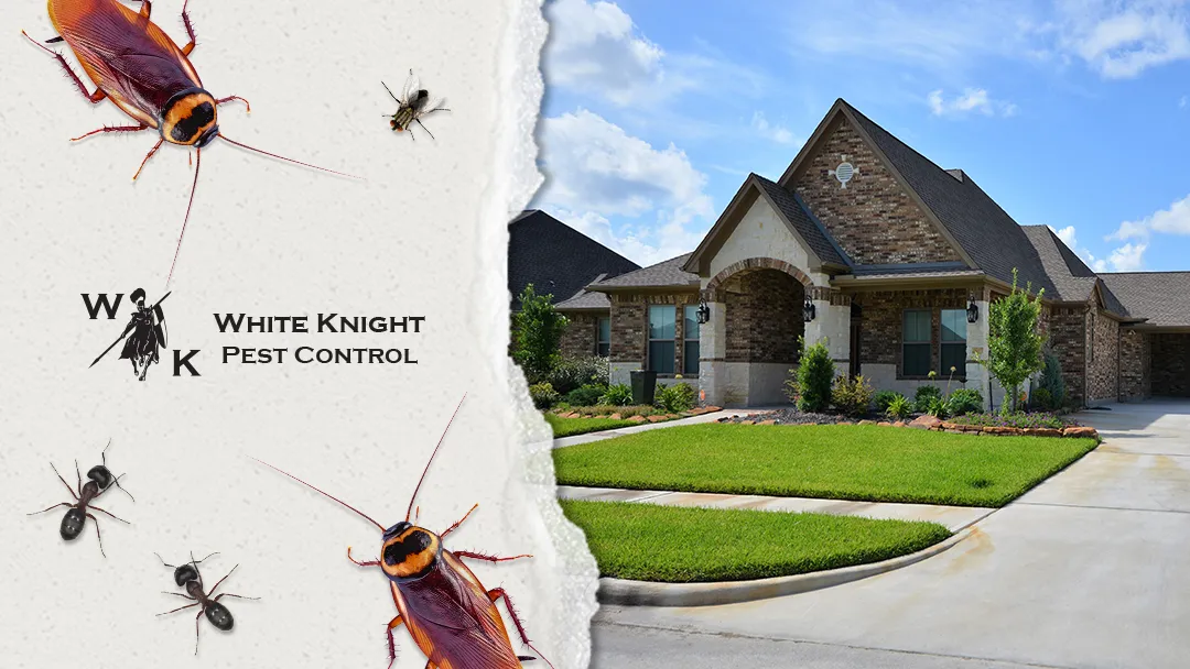 White Knight Pest Control in Houston, TX — business photo 4