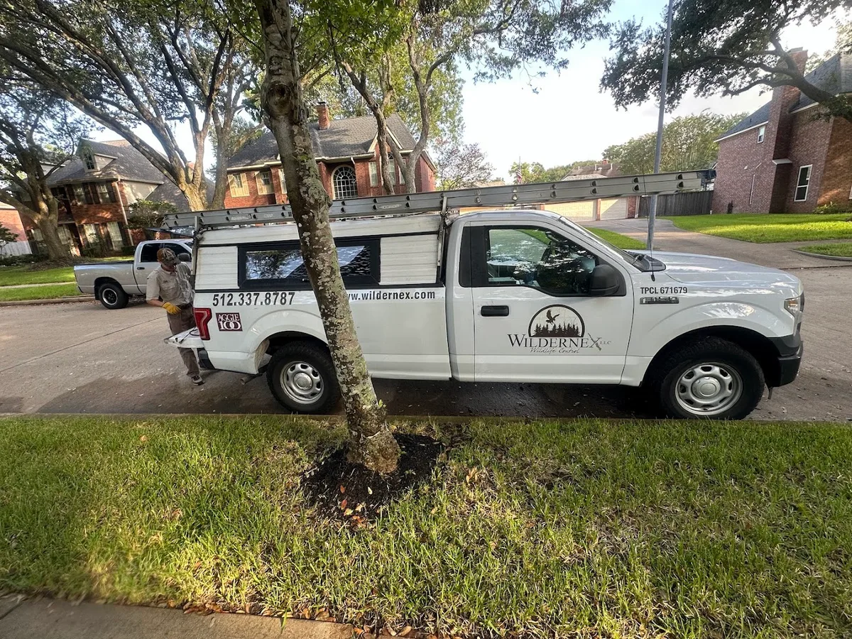 Wildernex LLC Wildlife Control in Magnolia, TX — business photo 5