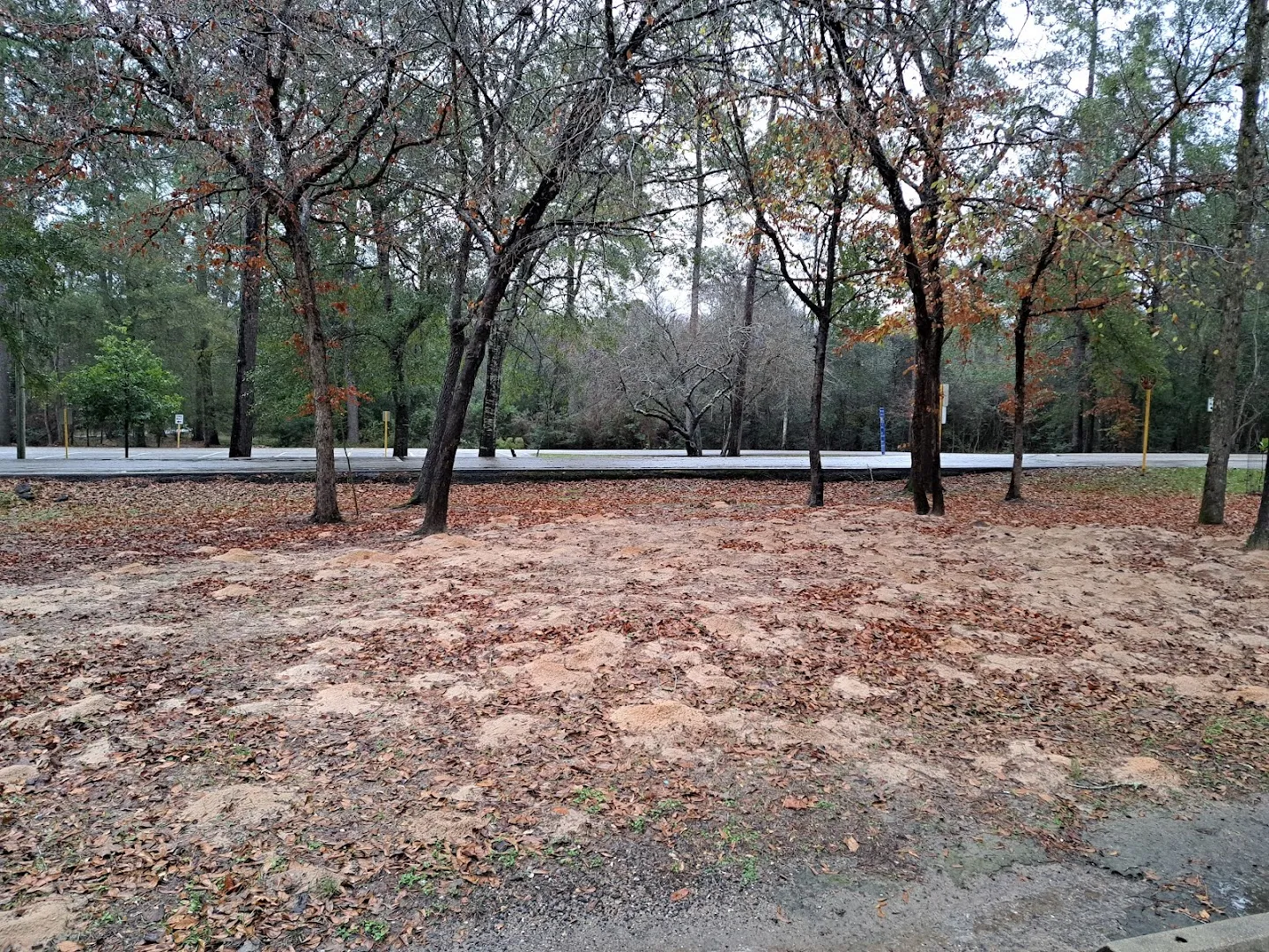 Green Services Termite & Pest Control in Houston, TX — business photo 4