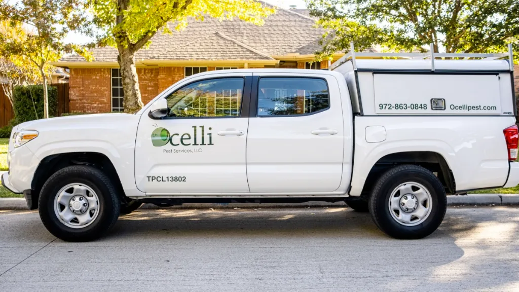 Ocelli Pest Services, LLC — pest control in Denton, DENTON County, TX