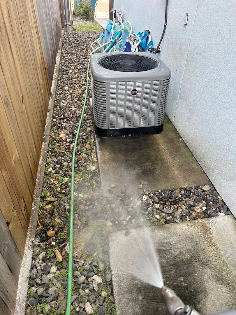 South Padre Island Termite & Pest Control - SPI in Brownsville, TX — business photo 2