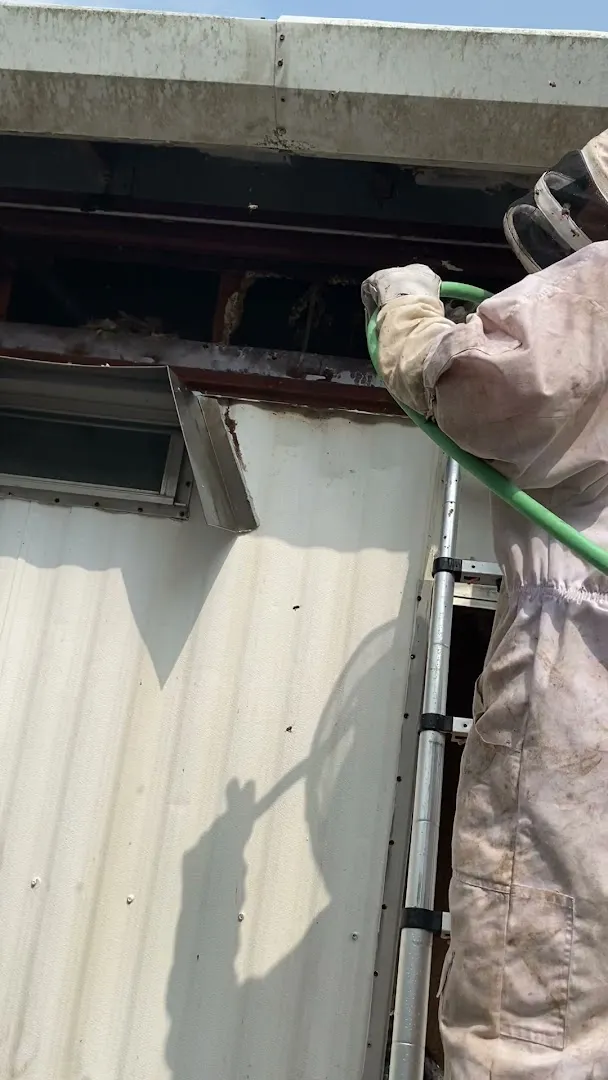 South Padre Island Termite & Pest Control - SPI in Brownsville, TX — business photo 3