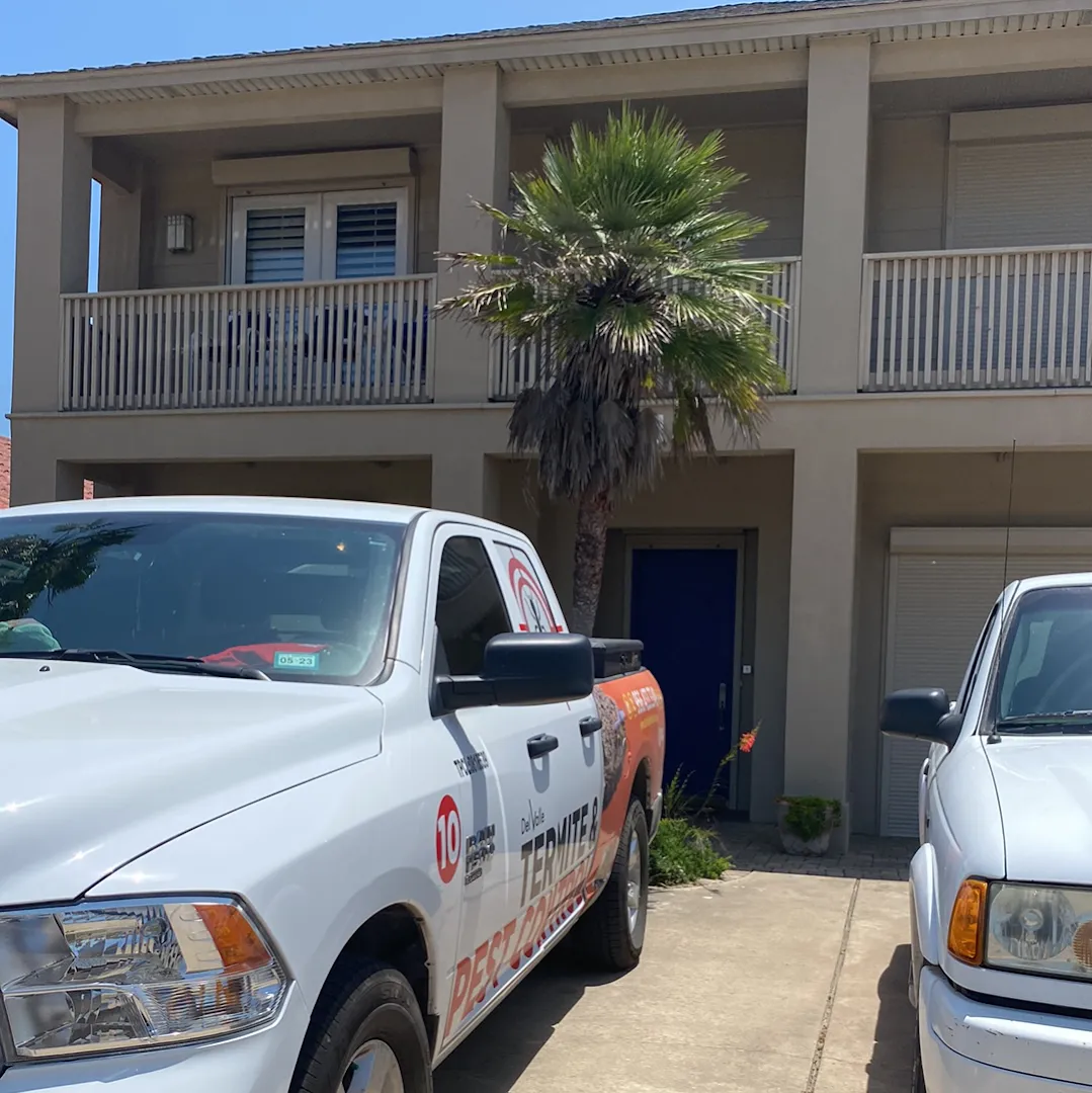 South Padre Island Termite & Pest Control - SPI in Brownsville, TX — business photo 4