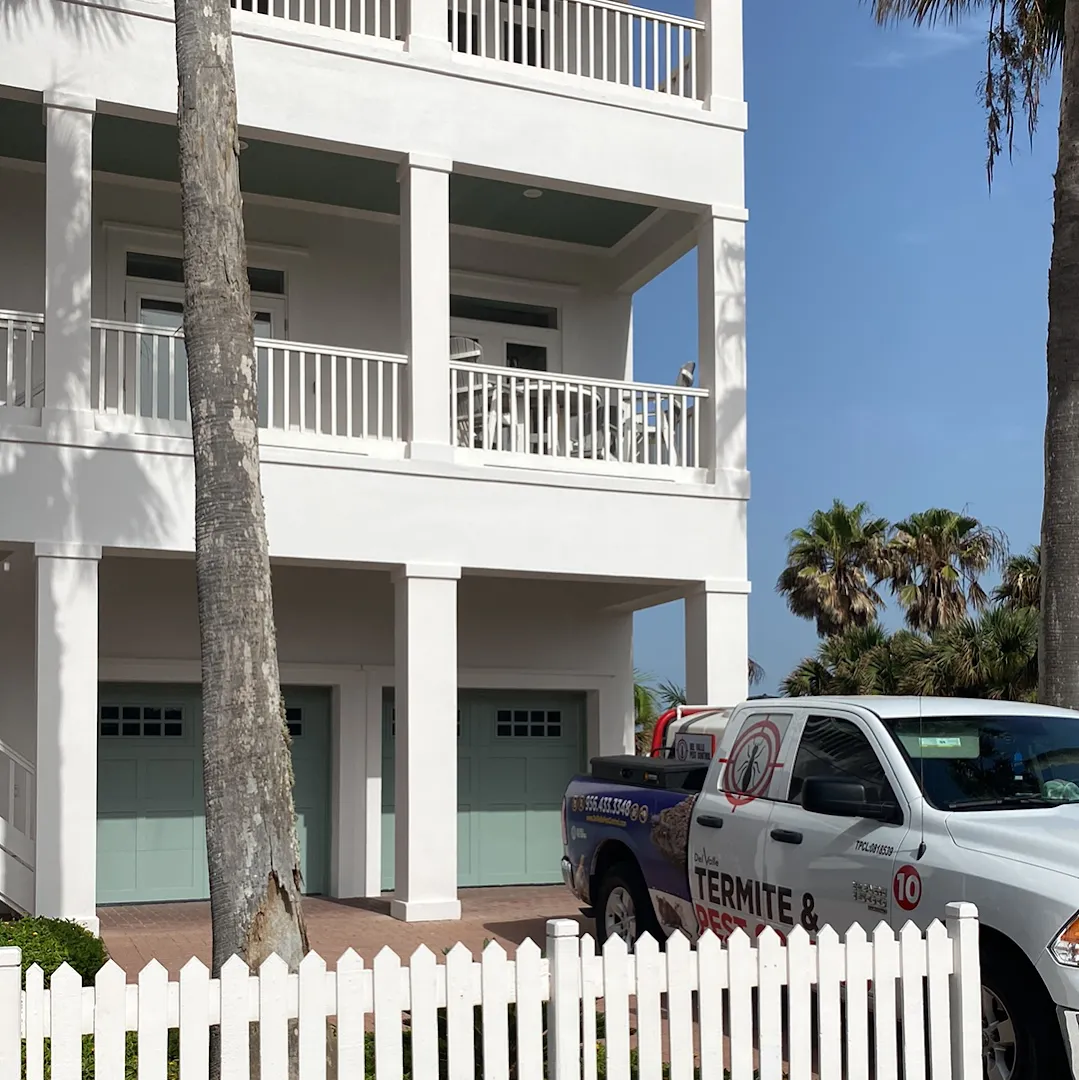 South Padre Island Termite & Pest Control - SPI in Brownsville, TX — business photo 5