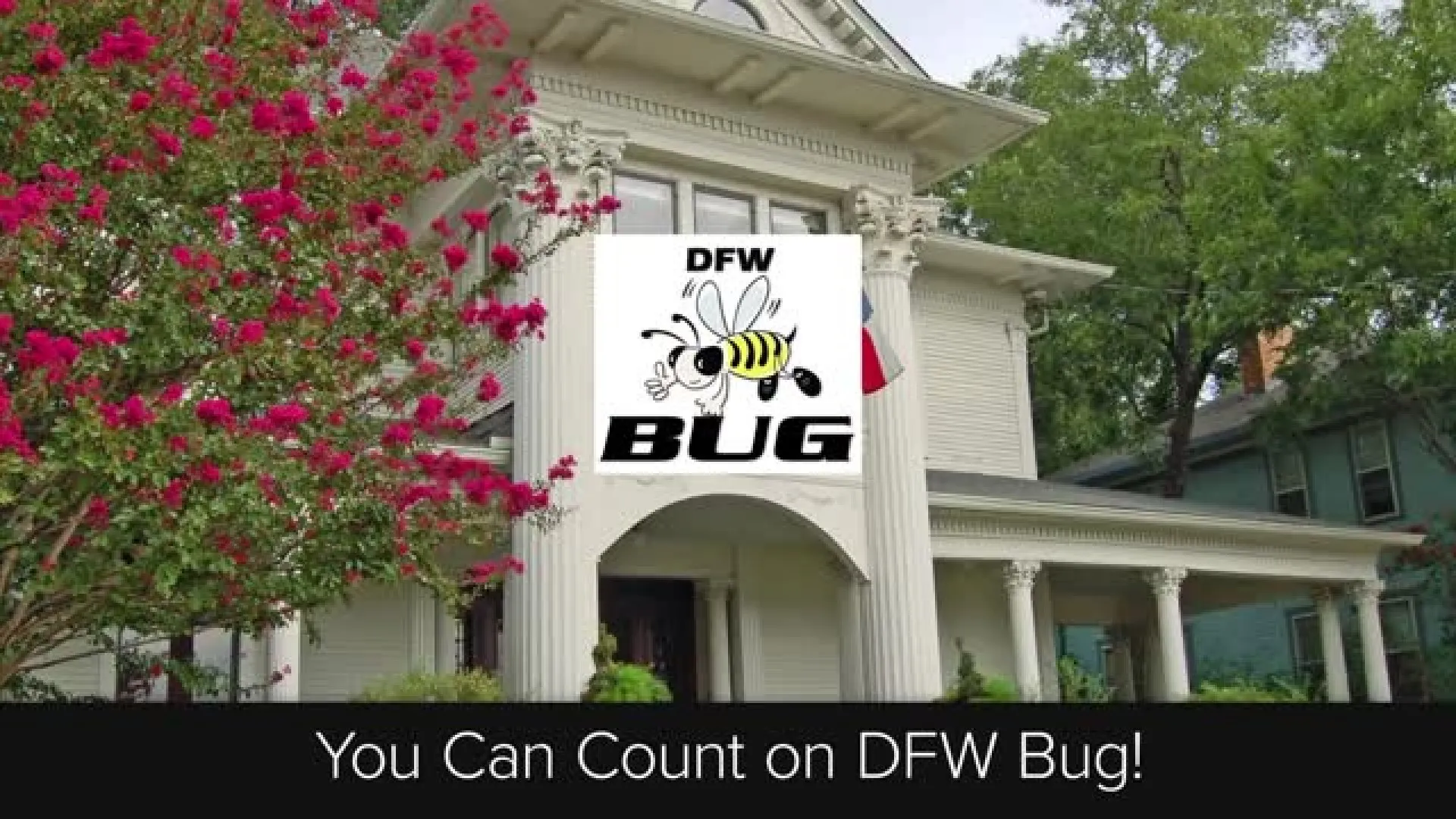 DFW Bug — pest control in Fort Worth, TARRANT County, TX