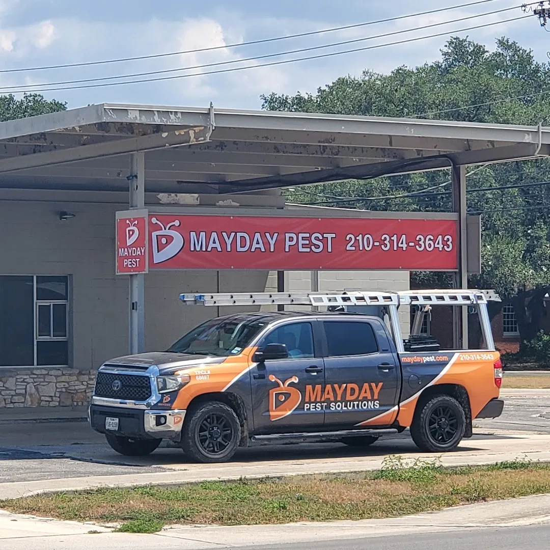 Mayday Pest Solutions in Seguin, TX — business photo 2