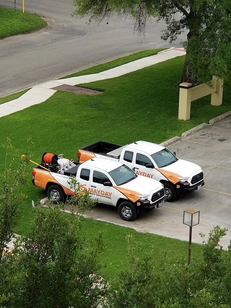 Mayday Pest Solutions in Seguin, TX — business photo 6