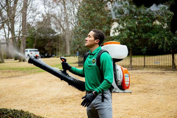Mosquito Joe of East Texas in Longview, TX — business photo 6
